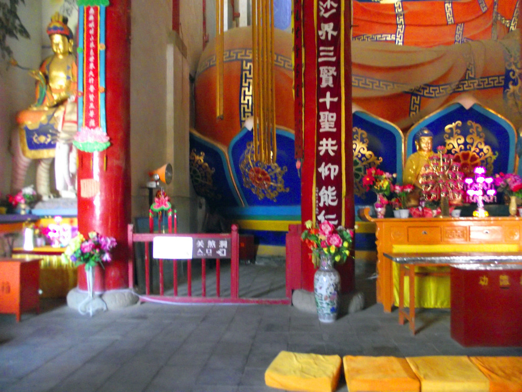 额济纳旗胡杨林,边境口岸策克和不为人所知的奇妙的甘肃山丹大佛寺