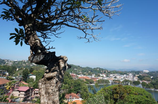 闺蜜斯里兰卡自然游自由行 - 斯里兰卡游记攻略