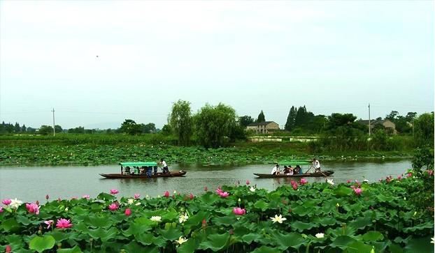 芜湖人游陶辛水韵攻略 我梦中的水乡