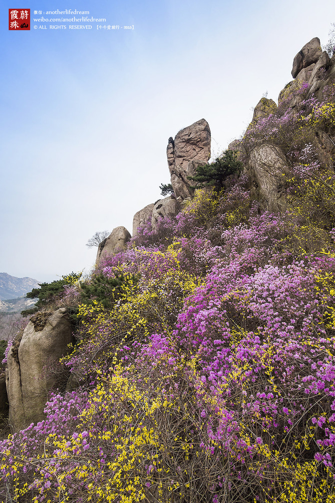 牛牛爱旅行 之 霞蔚珠山 (青岛黄岛大珠山,小珠山游览记)