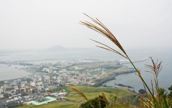 2015济州岛3天2晚自由行 - 济州岛游记攻略