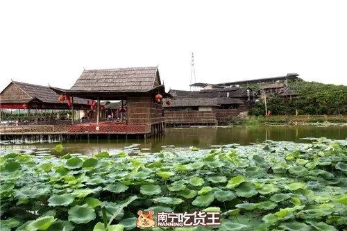春季南宁游玩攻略,春季南宁游玩攻略大全