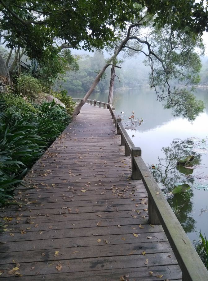 厦门,一个人的旅程 - 厦门游记攻略