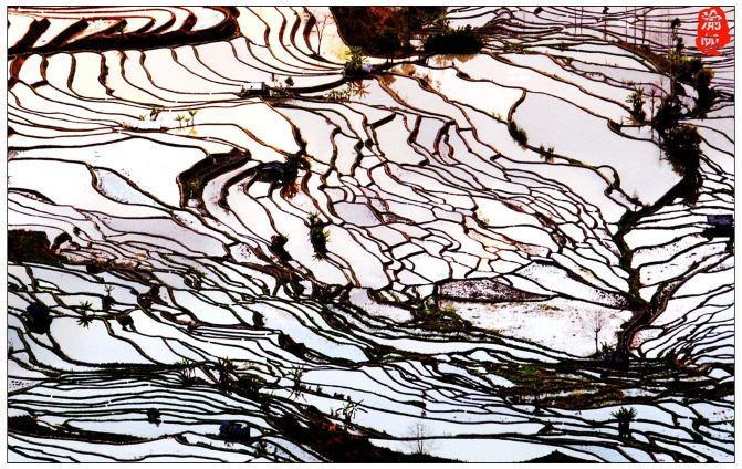 元阳梯田:天人合一画中景,鬼斧神工世间奇