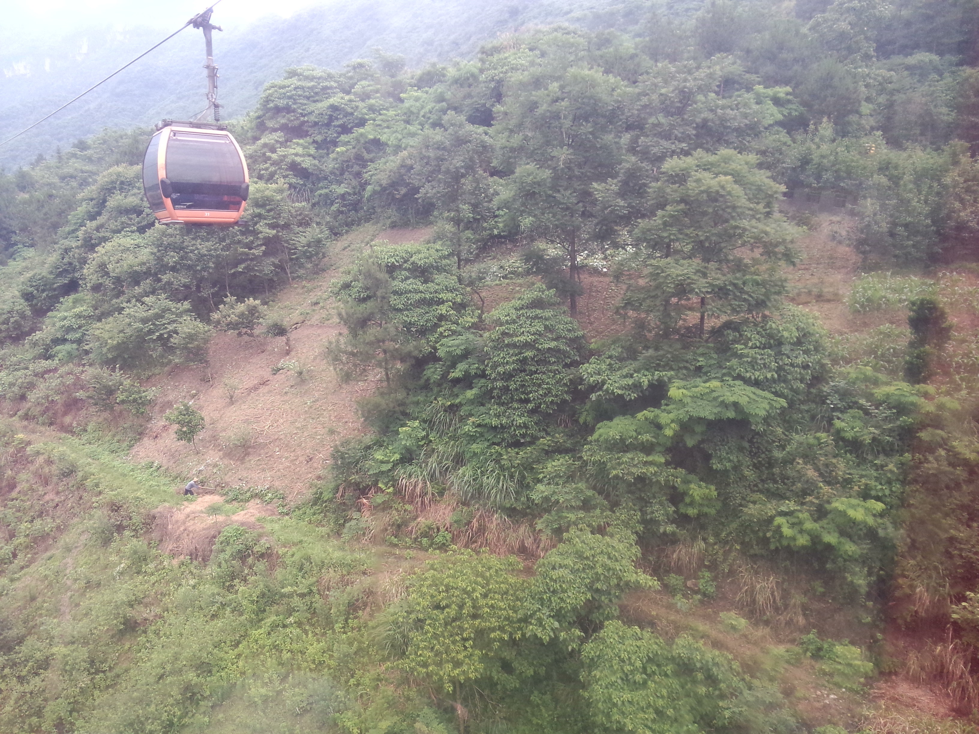 神奇张家界(长沙-韶山-张家界-凤凰)