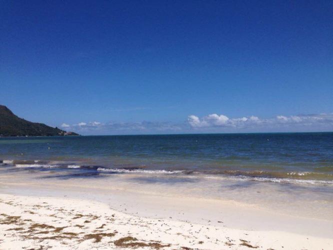 我和你的旅行 - 开普敦游记攻略