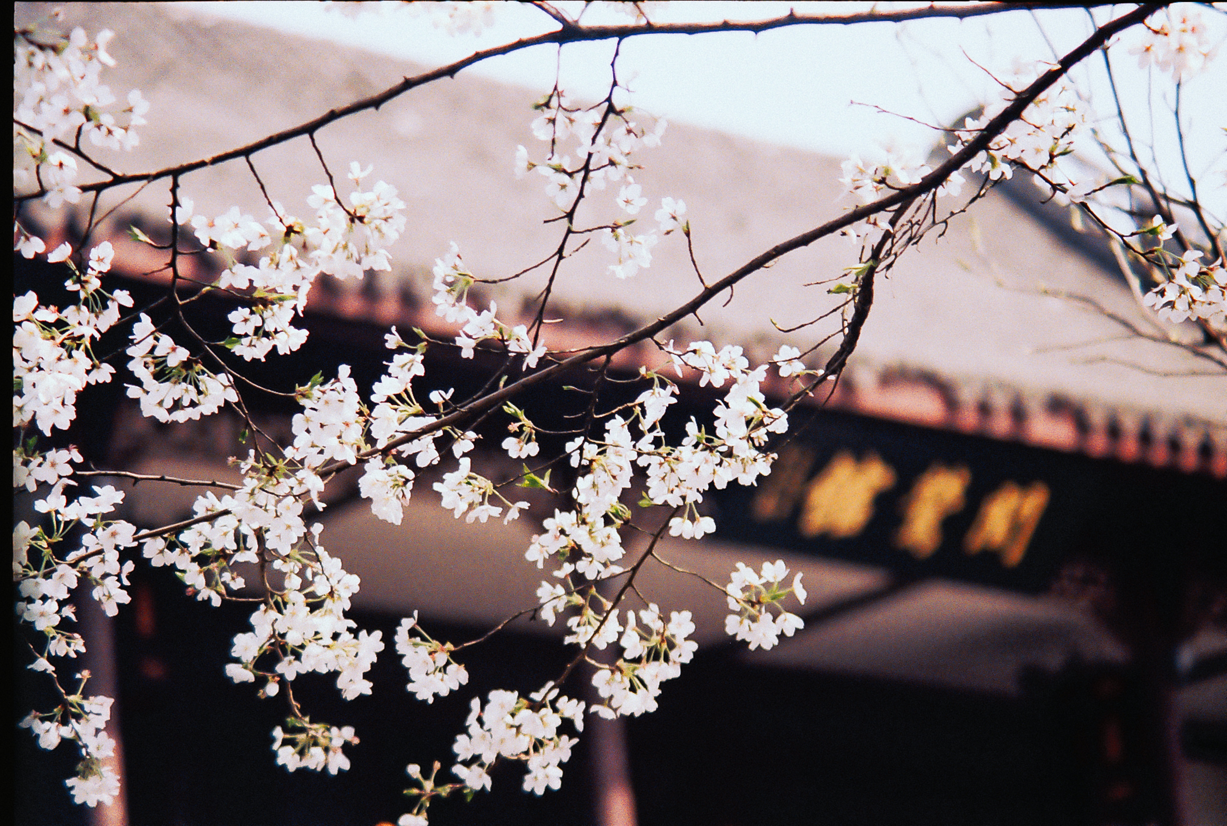 灵隐禅踪(灵隐寺)