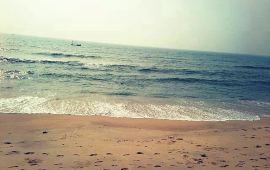 大连大连湾炮台天气预报,历史气温,旅游指数,大