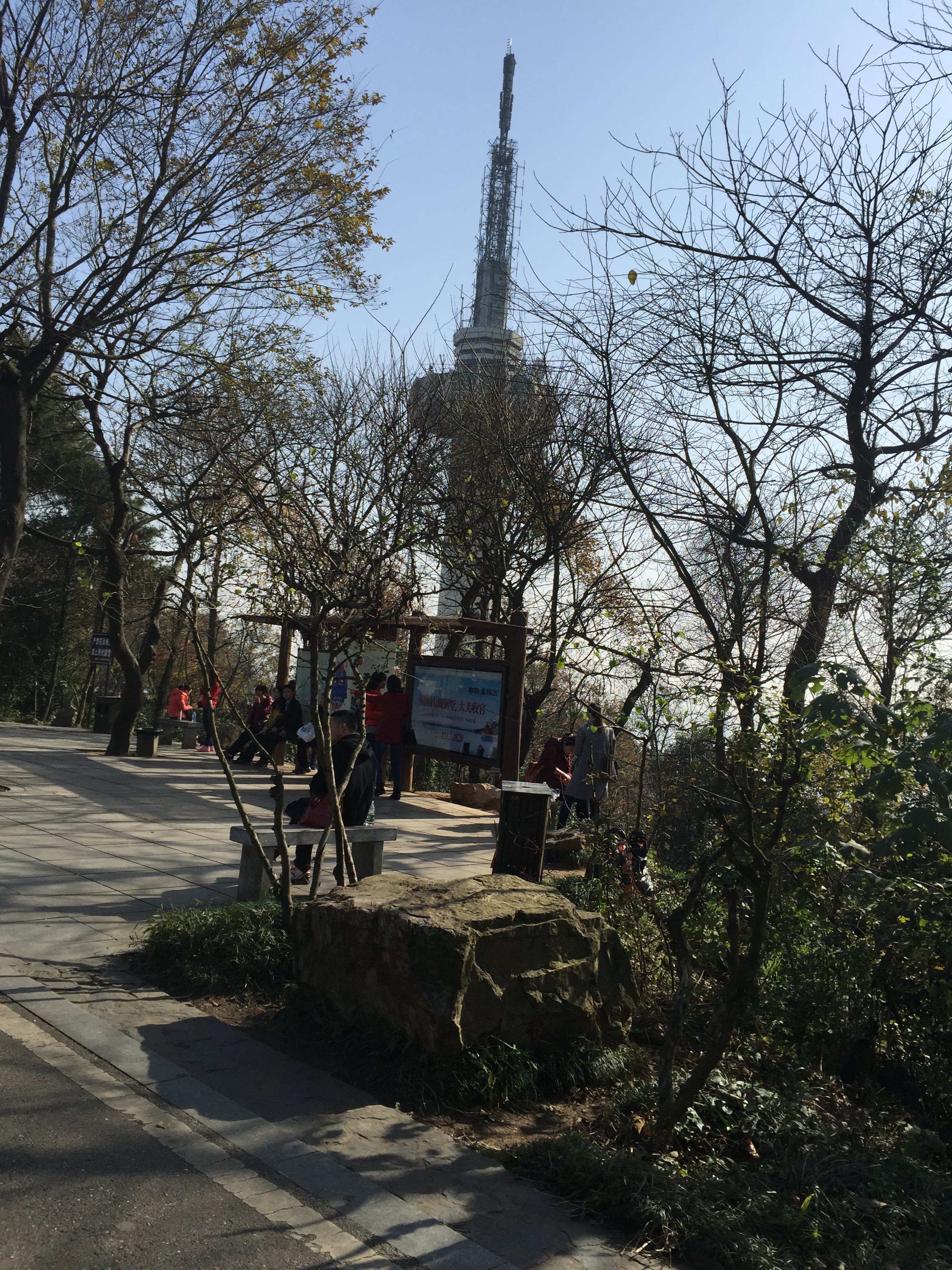 电视塔 岳麓山