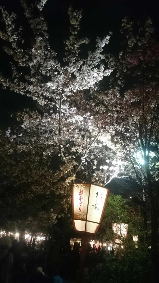 一起去日本关西赏樱花-吃喝玩乐8天超详攻略(