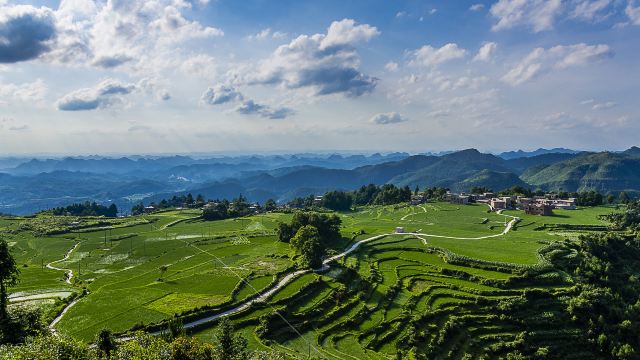高坡苗乡 4.2分