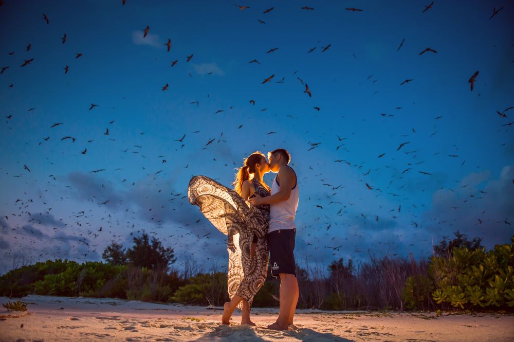 去塞舌尔-鸟岛--听一曲大自然的奏鸣曲 - 塞舌尔