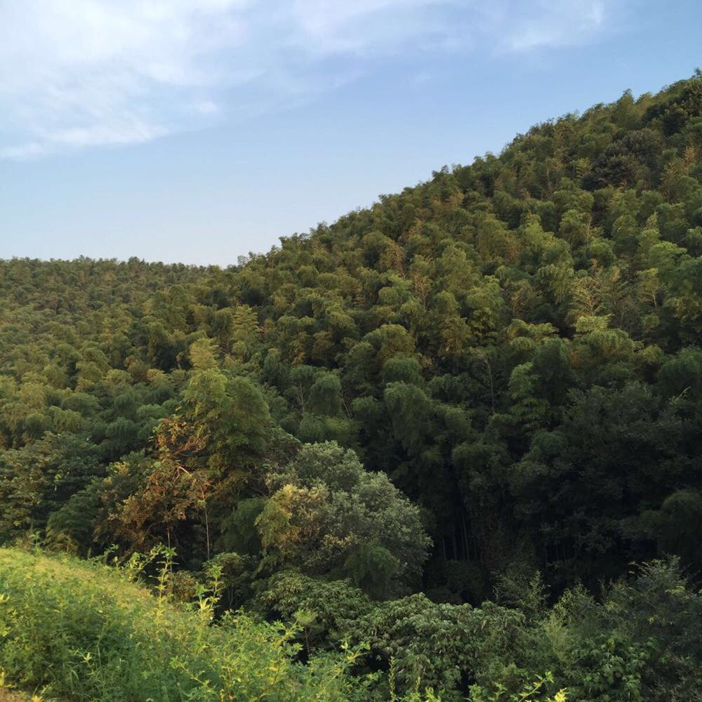 马鞍山怪坡