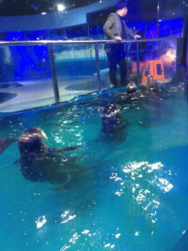台州海洋公园