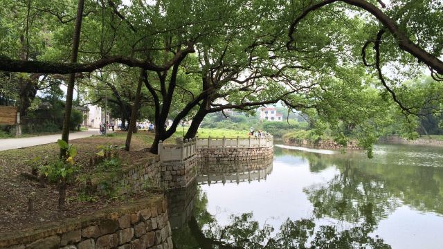 唐家湾古镇门票,珠海唐家湾古镇攻略/地址/图片/门票价格【携程攻略】