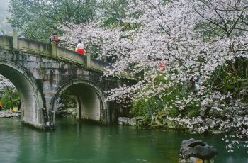 太子湾公园在什么地方 Cghzf1Ww0XaACPrRACnbmdqty_c186_C_350_230.jpg