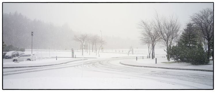 狂风暴雪.今天还能出的去吗?