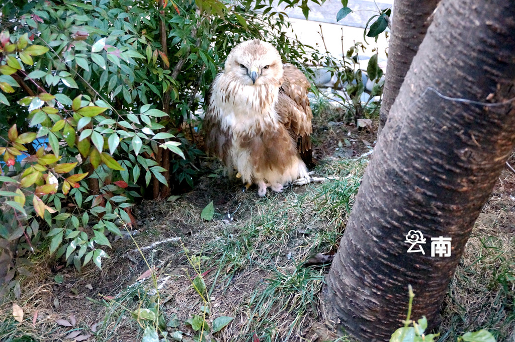 翻山越岭去看你,2个女生云南9日游,遇见不一样的云南.