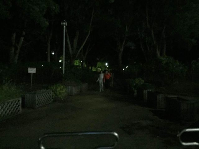 路边的一个小公园,晚上根本不敢进…都哄跑出来了 千叶县