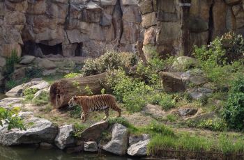 【携程攻略】柏林动物园门票,柏林动物园攻略