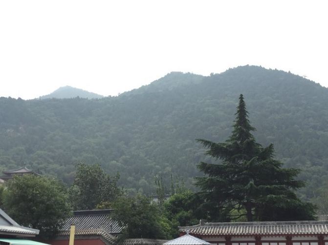 从帝王都到天府国--西安、成都自由行 - 成都游