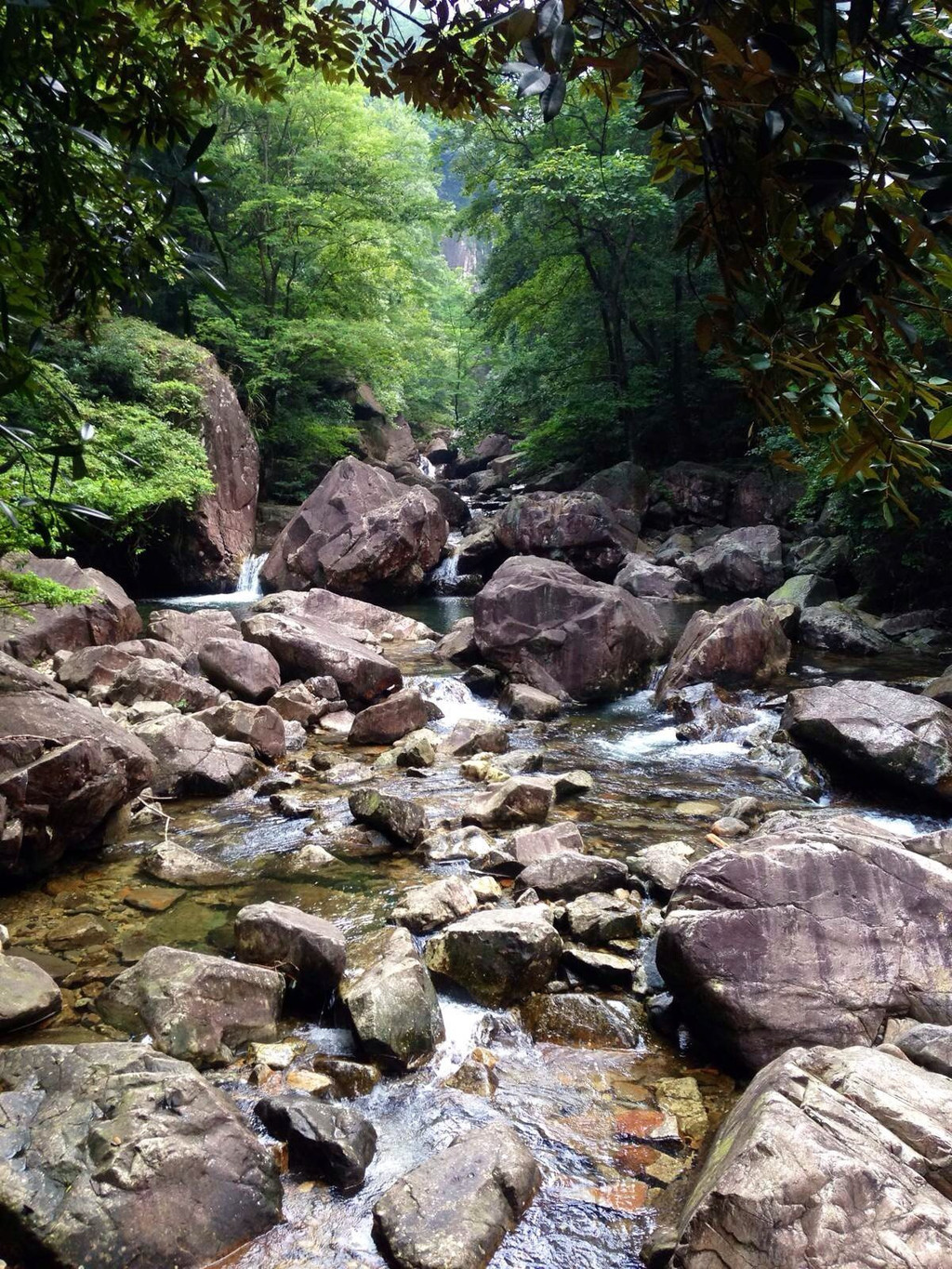 花岩国家森林公园游记