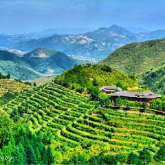 【安溪印象】安溪旅游怎么样_安溪哪里好玩_