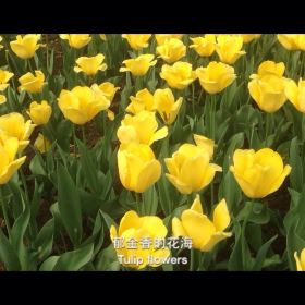 钵池山公园门票,淮安钵池山公园攻略\/地址\/图片