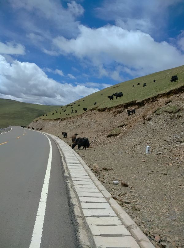 41天川藏入青藏出摩旅历程(上集-川藏线)