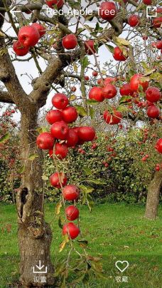 【携程攻略】深圳龙华公园图片,深圳龙华公园