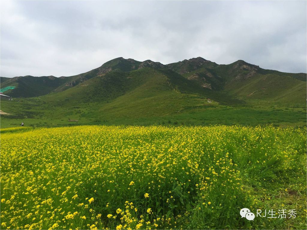 西游记(6)扁都口,卓尔山,门源,西宁,兰州