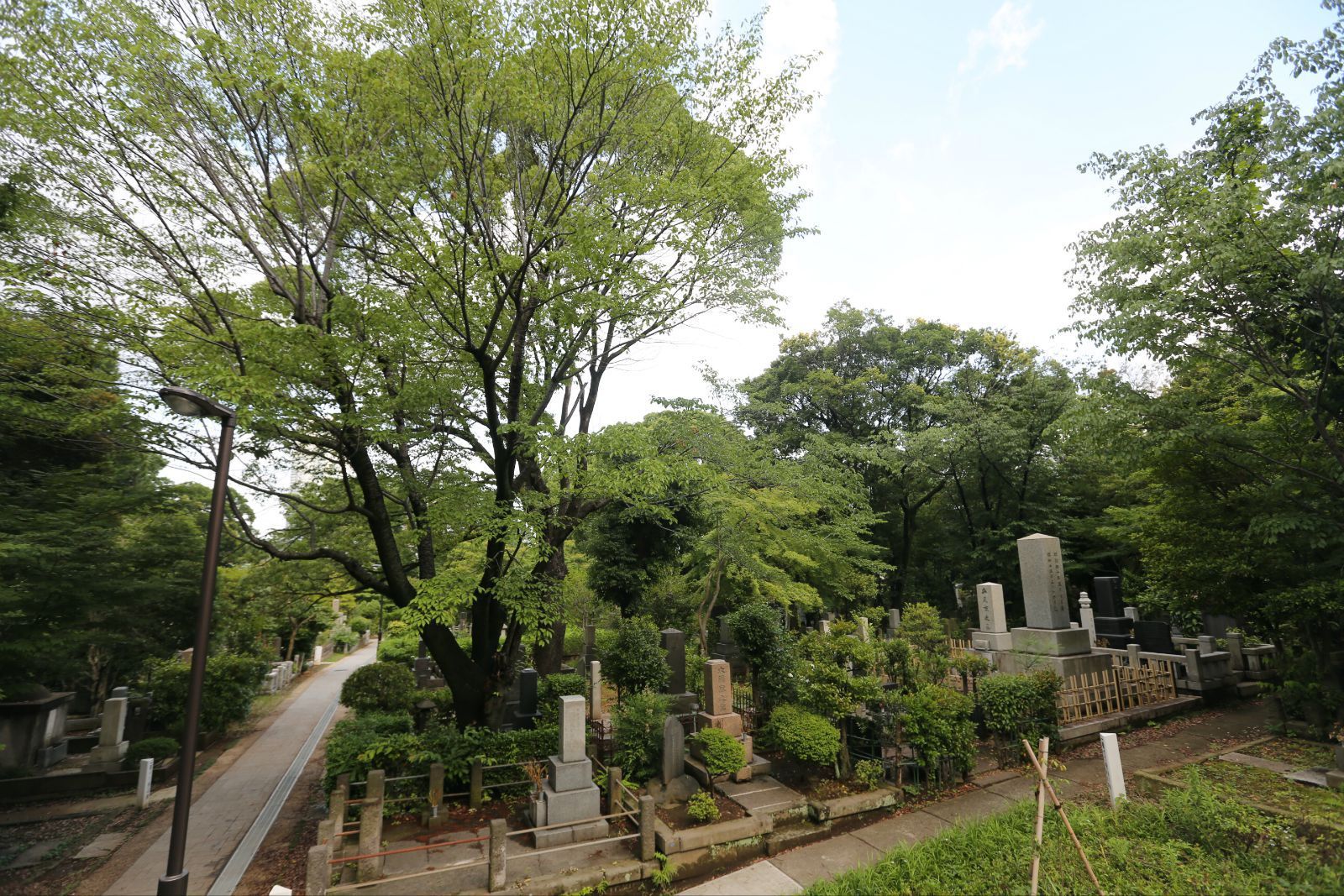 青山墓地,东京