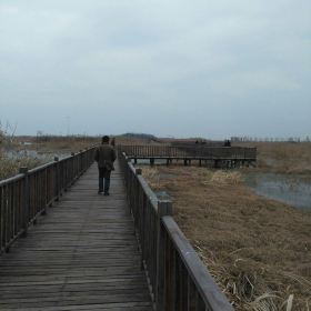 泗洪洪泽湖湿地公园_泗洪湿地公园门票收入