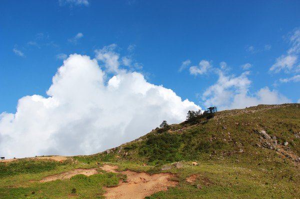 swing in 轿顶山. 那山,那景,那人,怀念的青春.