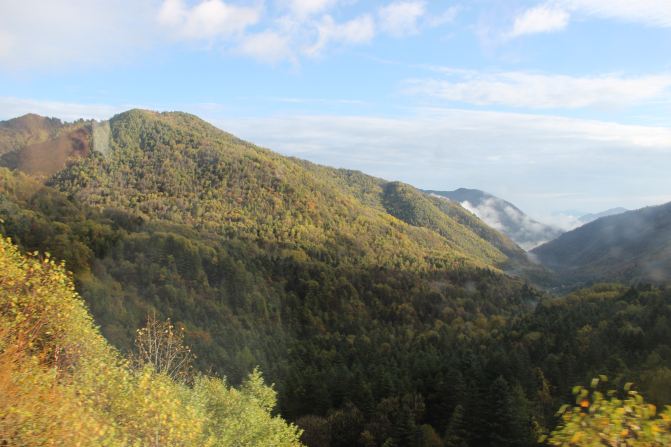 湖北行-宜昌武当山神龙架武汉湖北三峡景点临沂市区一日游攻略图片