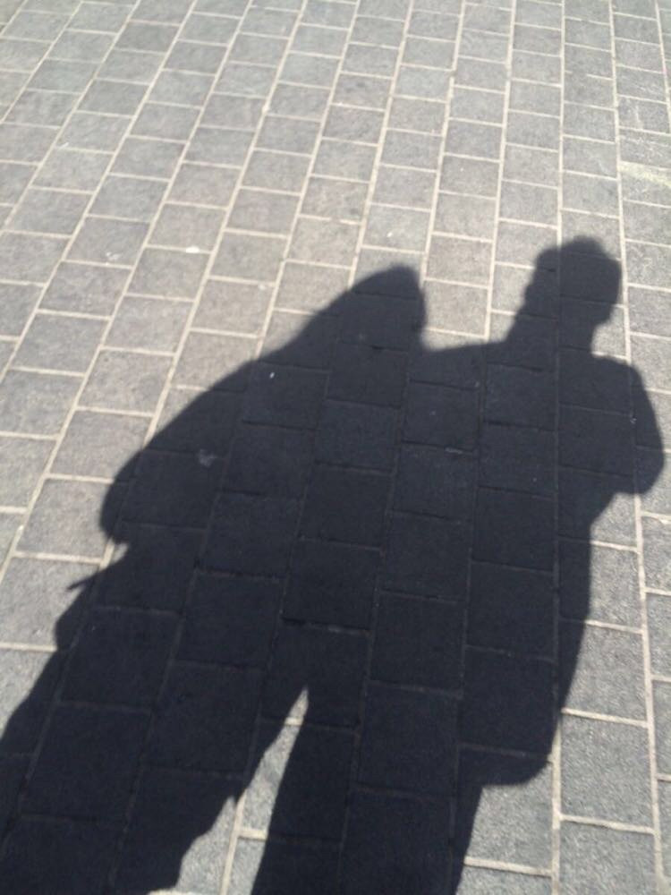                      影子成两人