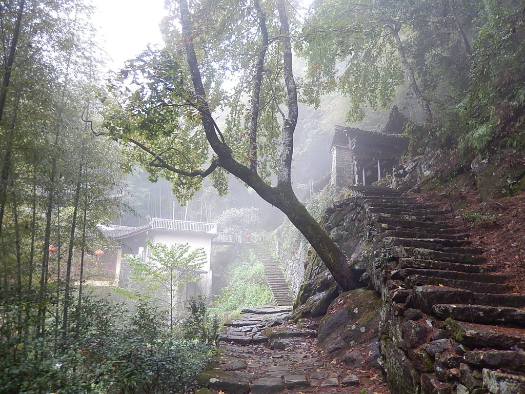 深山藏古寺.