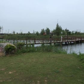 泗洪洪泽湖湿地公园_泗洪湿地公园门票收入(2)