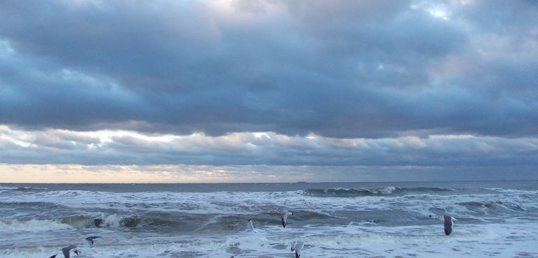 2016弗吉尼亚州旅游攻略,自助游\/自驾\/出游\/自由行攻略\/游玩攻略【携程攻略】