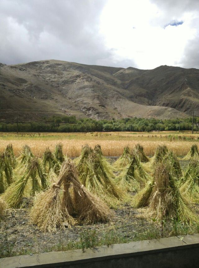 西藏江南 山南地区错那县勒布沟自驾2日游