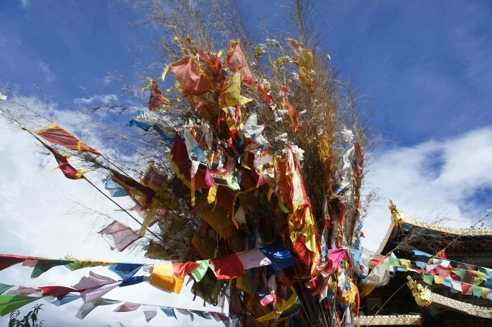 一大片的经幡当然是寺庙最显眼的标识 松赞林寺