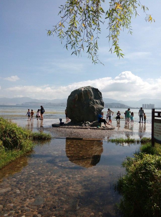 大理洱海月湿地公园