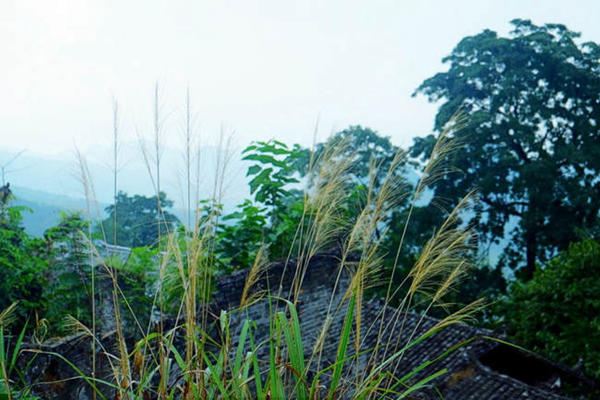 羞涩地躲在葱笼的林中,却有着更令人愉悦的山 野之风