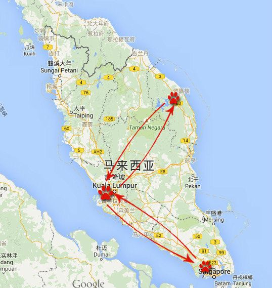 很少有国人知道的一个小岛,从马来西亚首都吉隆坡到岛上要先坐5小时