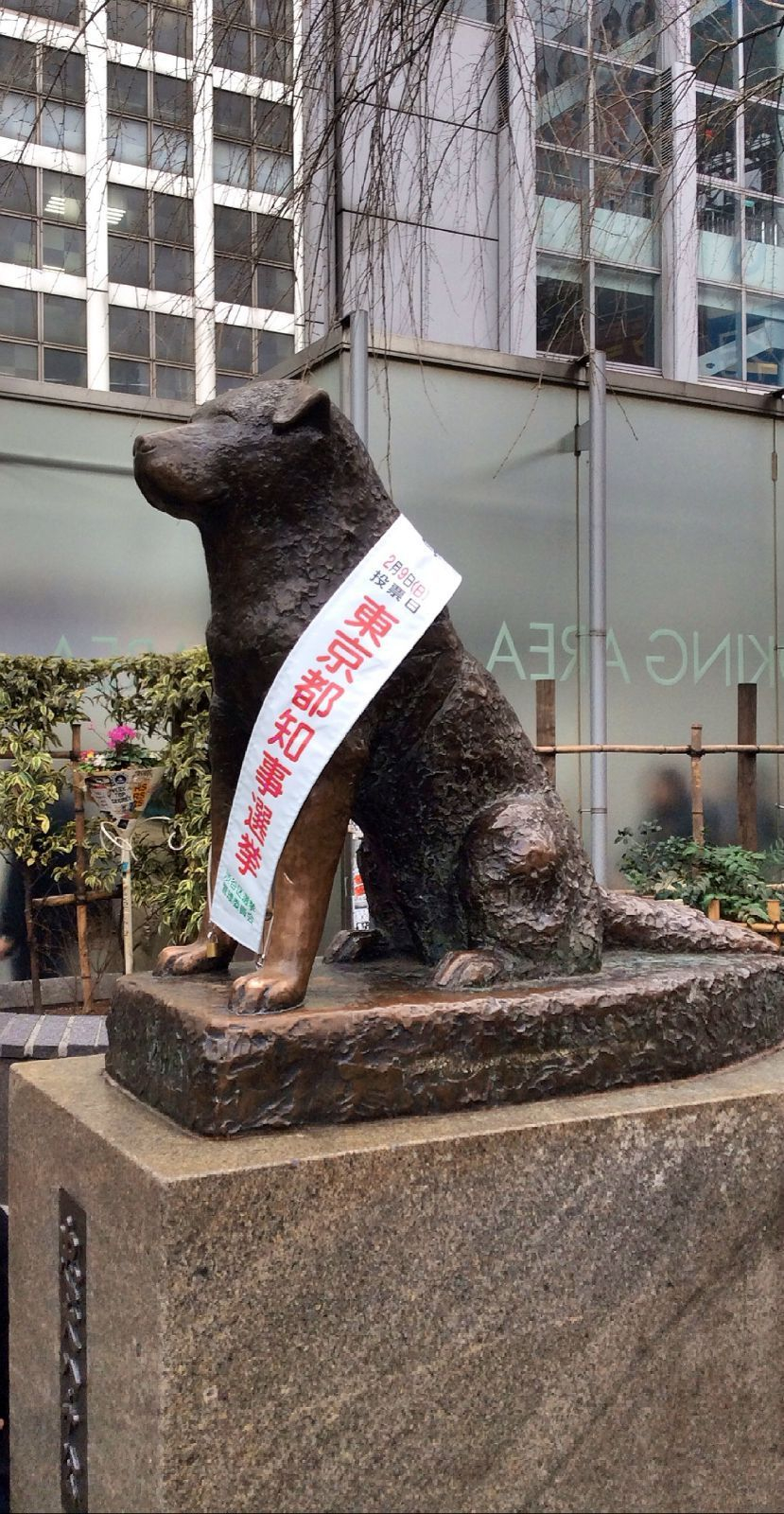 涩谷有我的八公,我虽然讨厌城市里像涩谷新宿这样喧闹的地方,但是有