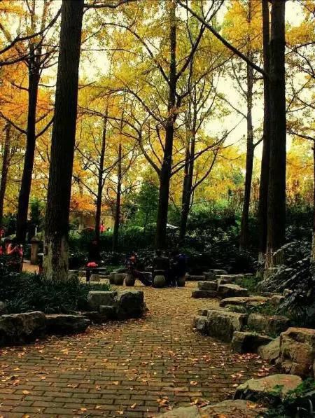 南京好玩吗?南京哪些地方值得去玩?南京12个