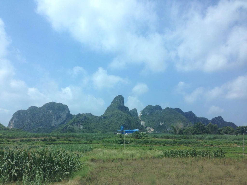 南宁市武鸣县