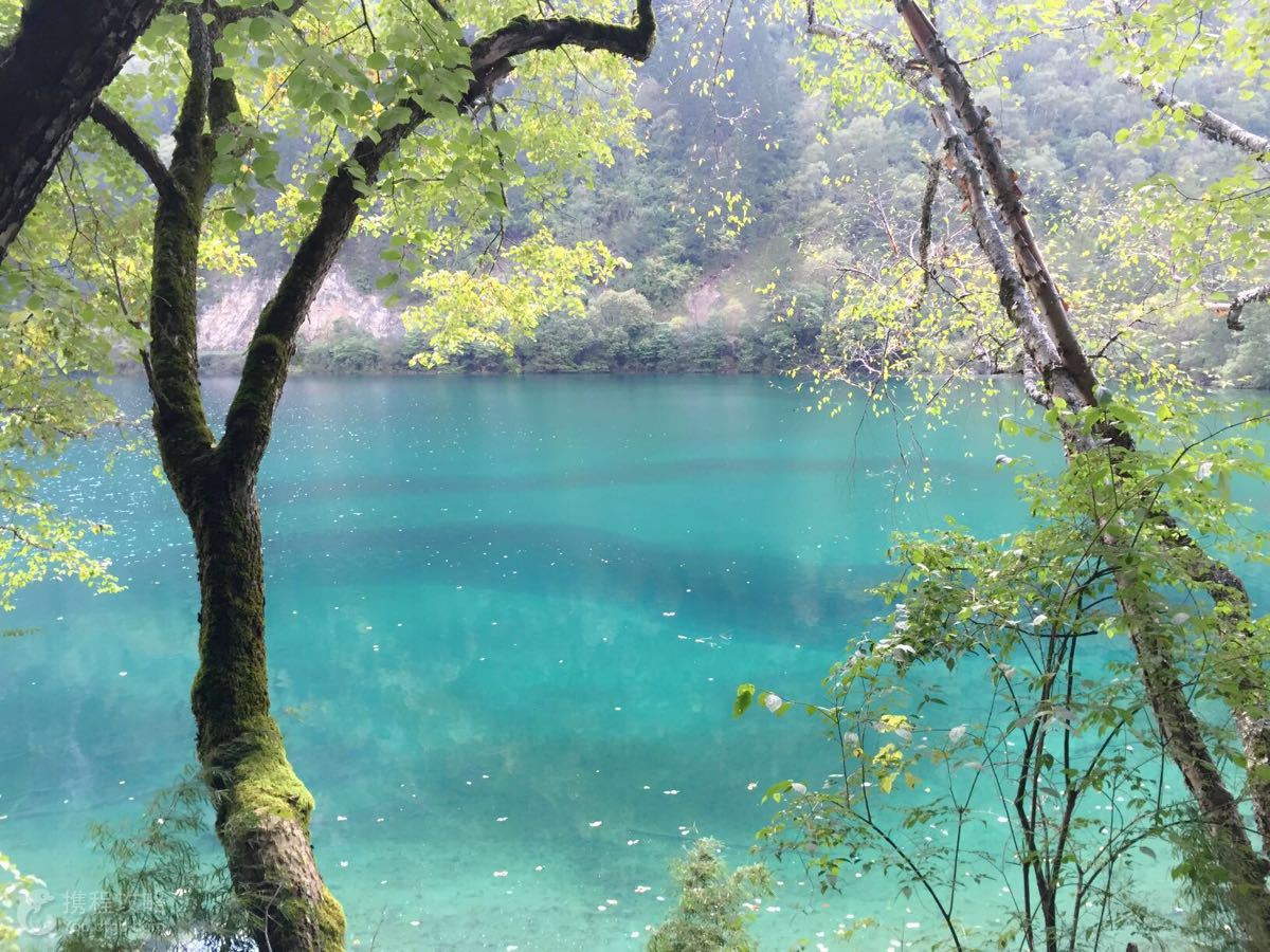 摄影之旅·四川九寨沟3日2晚跟团游·赠藏家