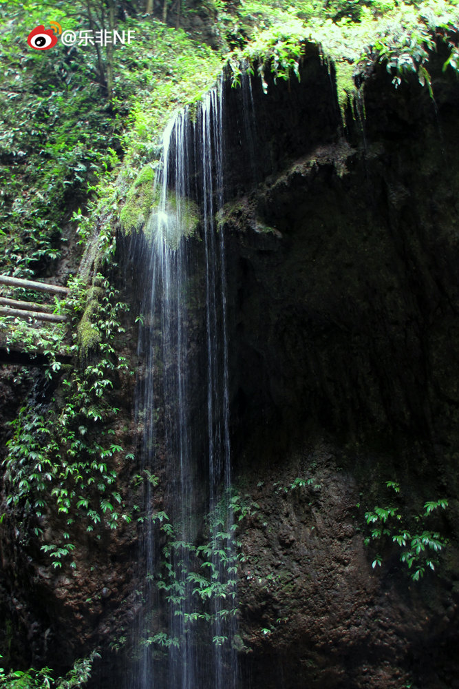 假如你知道青城有后山.