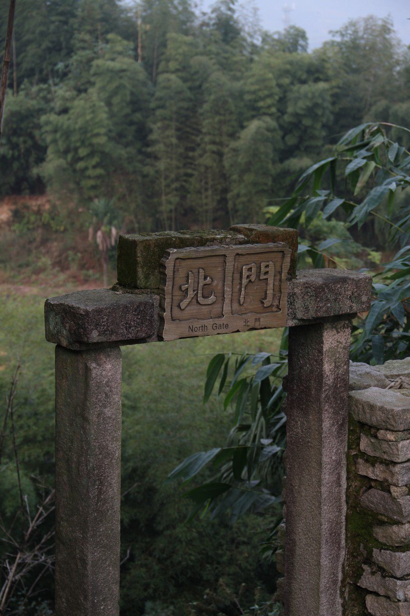 岱山村